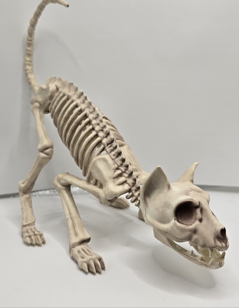 Skeleton Cat Crazy Bonez  Figure Poseable 18" L x 5.5" W x 10.25" H Plastic Toy